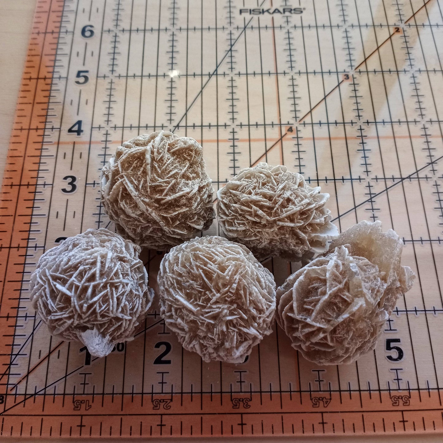 Desert Rose Clusters 1" - 1 1/2”