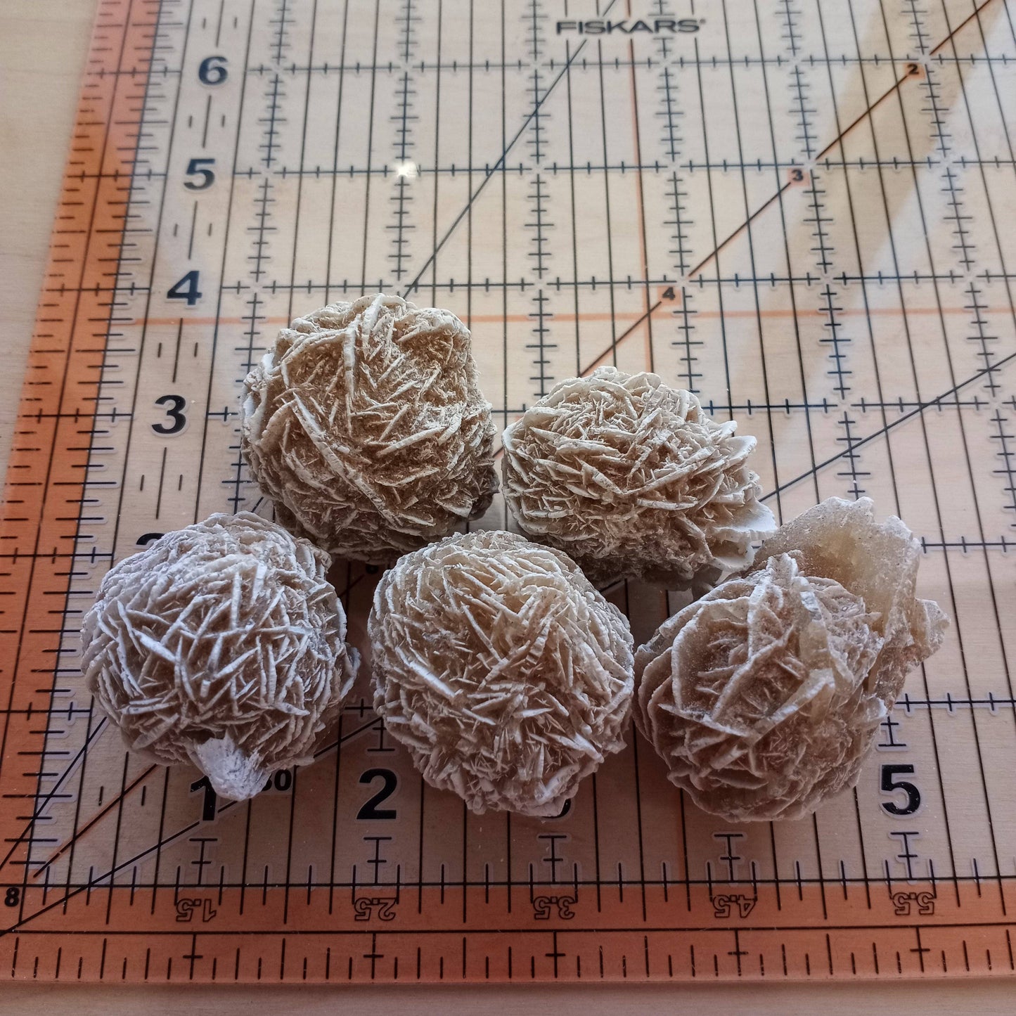 Desert Rose Clusters 1" - 1 1/2”