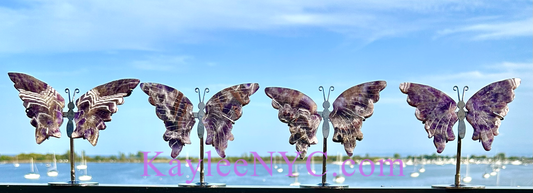 Natural Chevron Amethyst butterfly Crystal